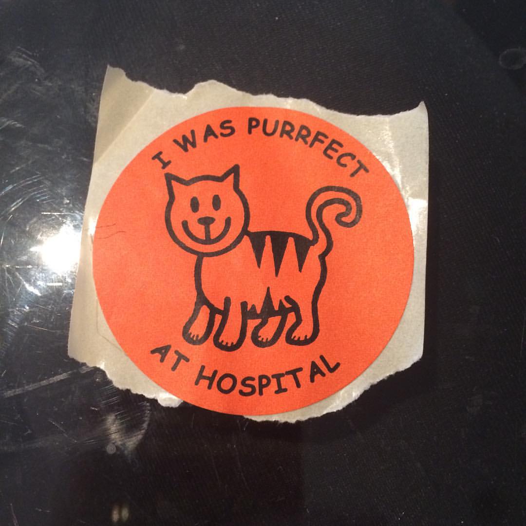 12291695_10154402286228206_3416615908035043908_o