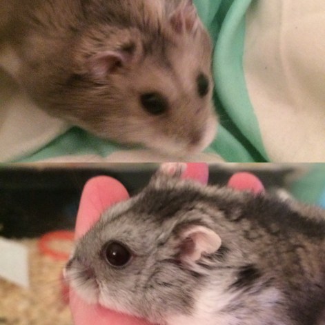 6BB213DC-D5C5-43CA-B285-E33427FB78FC