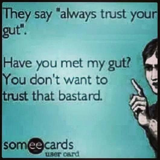 0f19606a317818f6a4237b414d549720