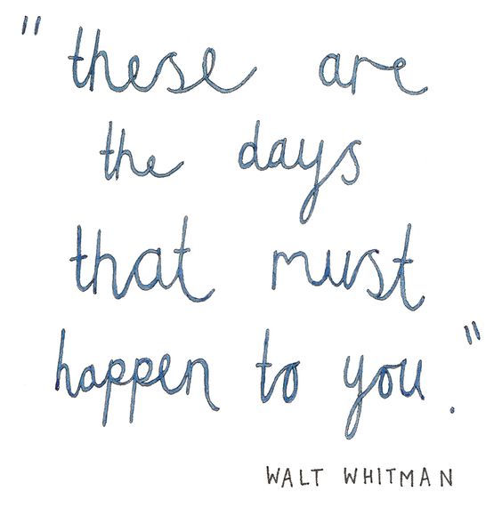 11108cccd2c2d48172aba82a2d357860 (1)