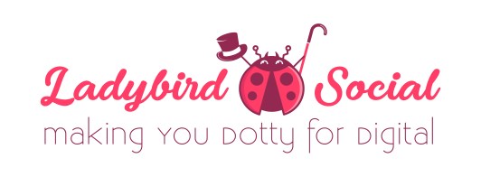 LB563 Ladybird social logo final
